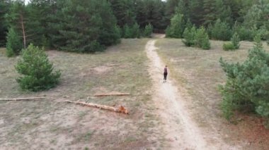 Çam Tee orman yolu işleten genç kadına arkadan havadan görünümü