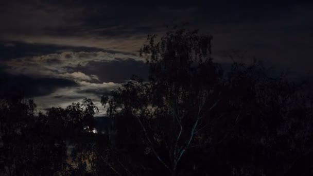 Full Moon Moves in the Night Sky through Dark Clouds and Trees. Time lapse. — Stock Video