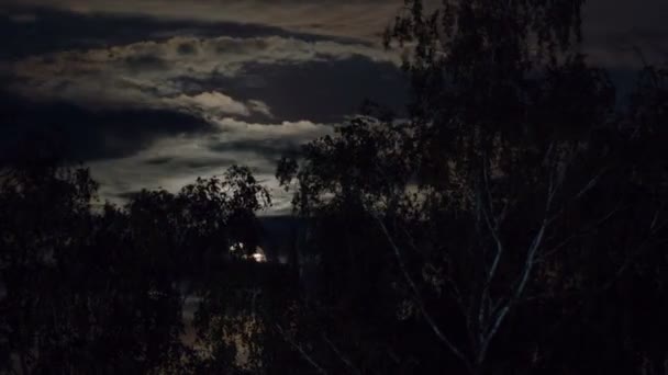 Księżyc w pełni przenosi się na nocnym niebie przez ciemne chmury i drzewa. Upływ czasu. — Wideo stockowe