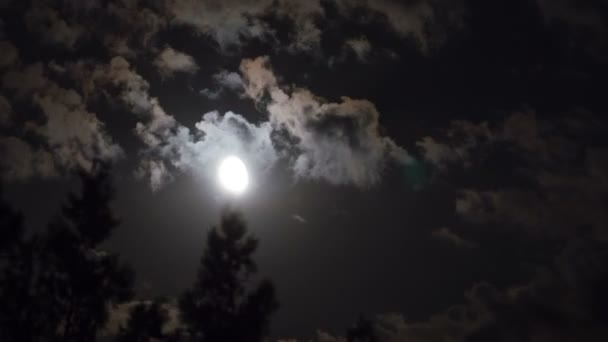 La pleine lune se déplace dans le ciel nocturne à travers les nuages et les arbres sombres. Délai imparti . — Video