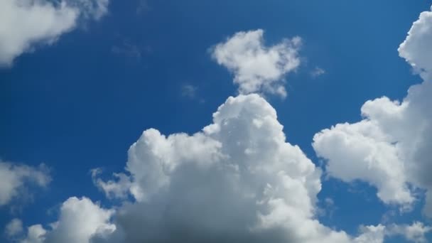 Wolken gaan in de blauwe hemel. Time-lapse — Stockvideo