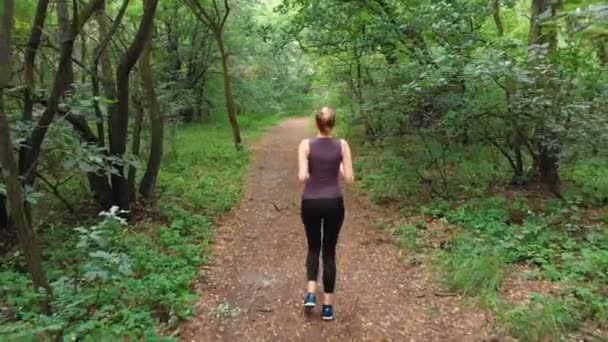 Veduta aerea dal Ritorno alla Giovane Donna che corre attraverso il sentiero della foresta di pini — Video Stock