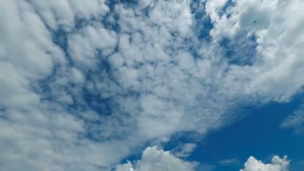 Wolken ziehen am blauen Himmel auf. Zeitraffer — Stockvideo