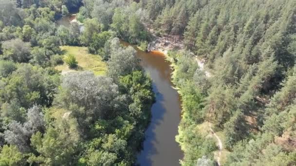 Koryto rzeki jest widok z góry z drona — Wideo stockowe