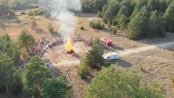 Luftaufnahme der organisierten Versammlung von Menschen in der Nähe eines großen Lagerfeuers in einem Kiefernwald — Stockvideo