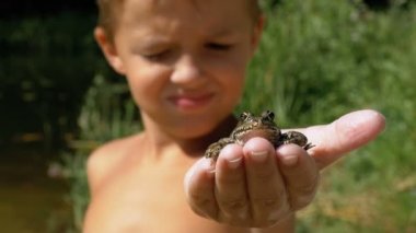 Küçük çocuk bir kurbağa Nehri yakınında sahilde elinde tutuyor. Ağır çekim