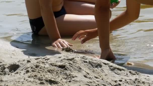 Два маленьких мальчика играют с жабой на берегу реки на пляже. Slow Motion — стоковое видео