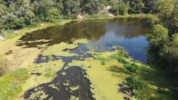 De rivierbedding is een bovenaanzicht van de drone — Stockvideo