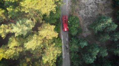 Kırmızı yangın kamyon sürüş bir çam ormanının içinde yol boyunca dron üzerinden üstten görünüm