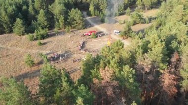 Bir çam ormanı içinde büyük bir kamp ateşi yakın kişi organize toplama havadan görünümü