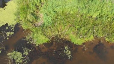Belgili tanımlık nehir yatak dron üst görünümden olduğunu