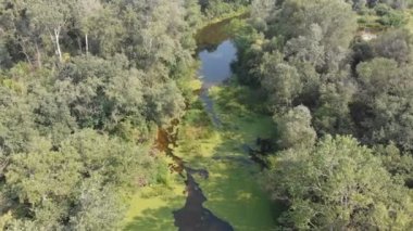 Belgili tanımlık nehir yatak dron üst görünümden olduğunu