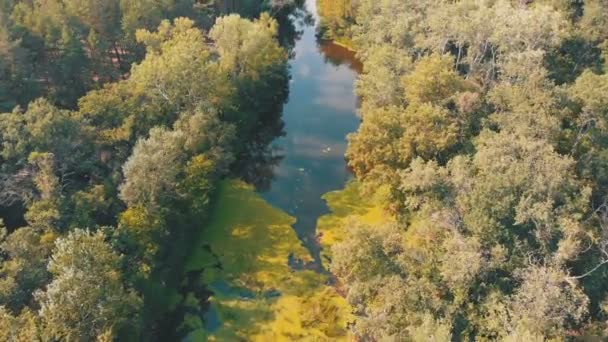 The river bed is a top view from the drone — Stock Video