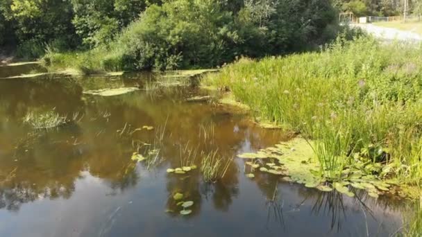 El lecho del río es una vista superior desde el dron — Vídeo de stock