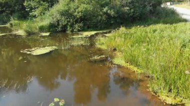 Belgili tanımlık nehir yatak dron üst görünümden olduğunu