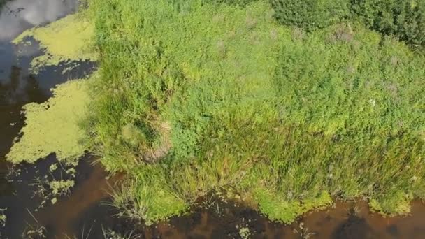 Das Flussbett ist eine Draufsicht aus der Drohne — Stockvideo