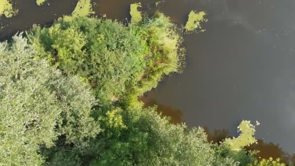 Koryto řeky je pohled shora z dron — Stock video