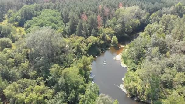 Le lit de la rivière est une vue de dessus du drone — Video