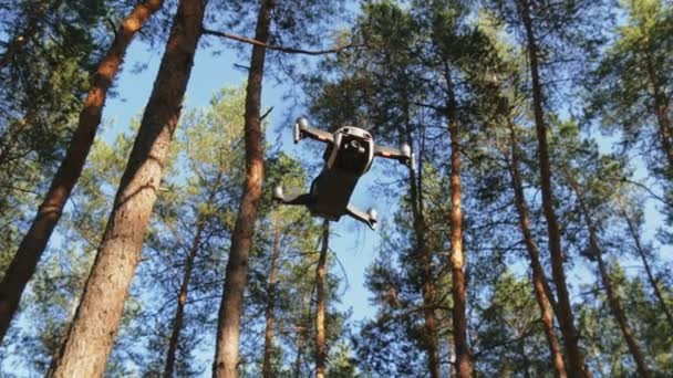 Drönare med en kamera svävar i luften. Quadcopter flyger ovanför marken i skogen — Stockvideo