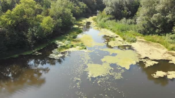 Στην κοίτη του ποταμού είναι μια προβολή επάνω από το drone — Αρχείο Βίντεο