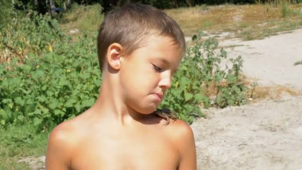 Crapaud assis sur l'épaule d'un jeune enfant sur la plage près de la rivière — Video