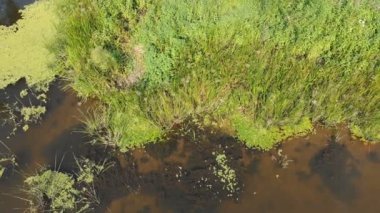 Belgili tanımlık nehir yatak dron üst görünümden olduğunu