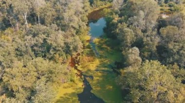 Belgili tanımlık nehir yatak dron üst görünümden olduğunu