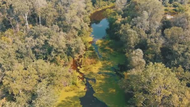 Dasar sungai adalah pemandangan atas dari pesawat tak berawak — Stok Video