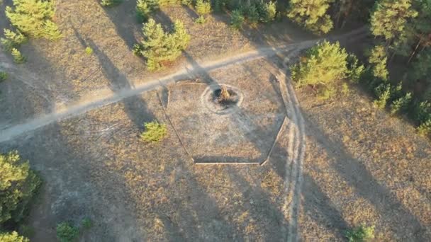 Voo lento dentro da floresta de pinheiros. Vista aérea com drone — Vídeo de Stock