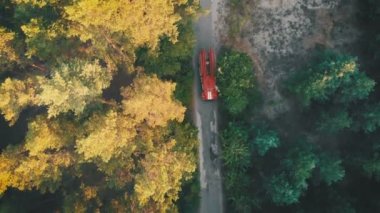 Kırmızı yangın kamyon sürüş bir çam ormanının içinde yol boyunca dron üzerinden üstten görünüm