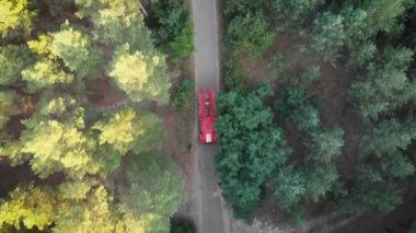 Kırmızı yangın kamyon sürüş bir çam ormanının içinde yol boyunca dron üzerinden üstten görünüm