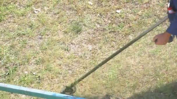 Homem corta grama usando um cortador de grama portátil — Vídeo de Stock