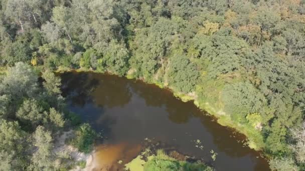 Das Flussbett ist eine Draufsicht aus der Drohne — Stockvideo