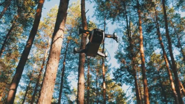 Drone con una cámara se cierne en el aire. Quadcopter vuela sobre el suelo en el bosque — Vídeos de Stock