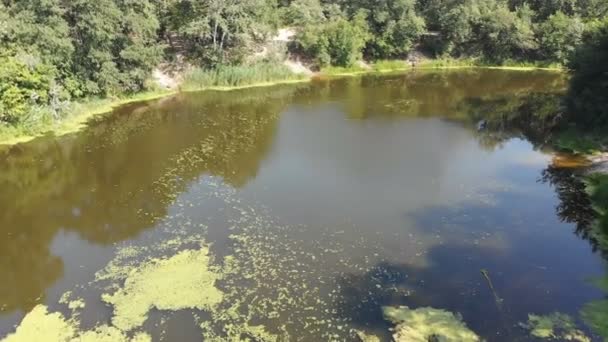 Das Flussbett ist eine Draufsicht aus der Drohne — Stockvideo