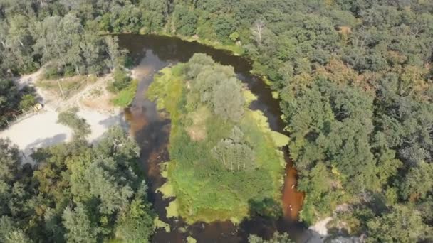 El lecho del río es una vista superior desde el dron — Vídeo de stock