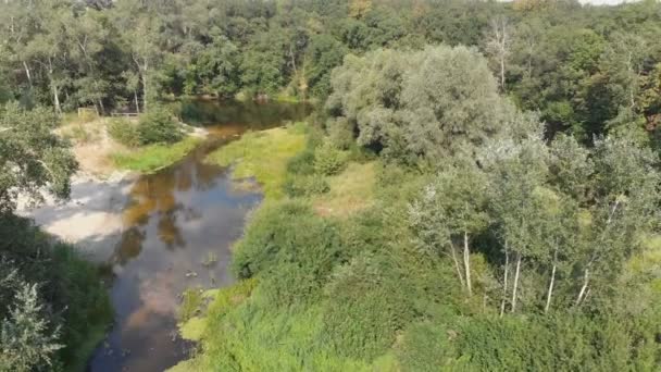 Koryto rzeki jest widok z góry z drona — Wideo stockowe