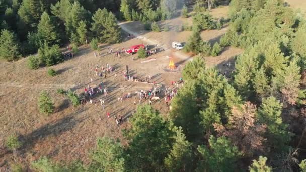 Вид с воздуха на организованное собрание людей возле большого костра в сосновом лесу — стоковое видео