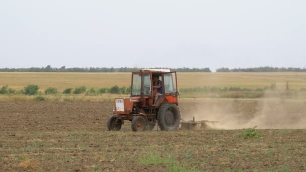 Gammal traktor plowing fält — Stockvideo