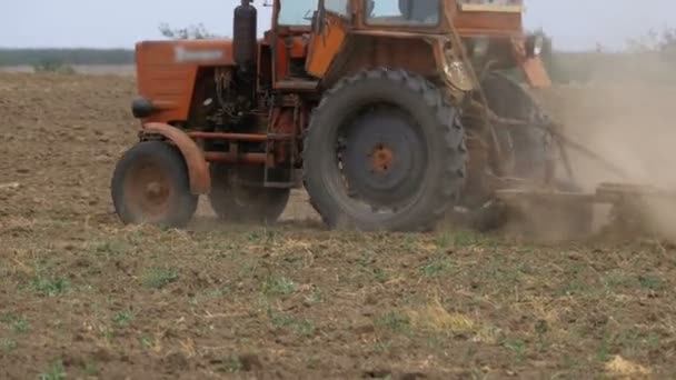 Gammal traktor plowing fält — Stockvideo