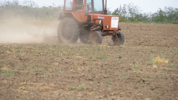 Gammal traktor plowing fält. Slow Motion — Stockvideo