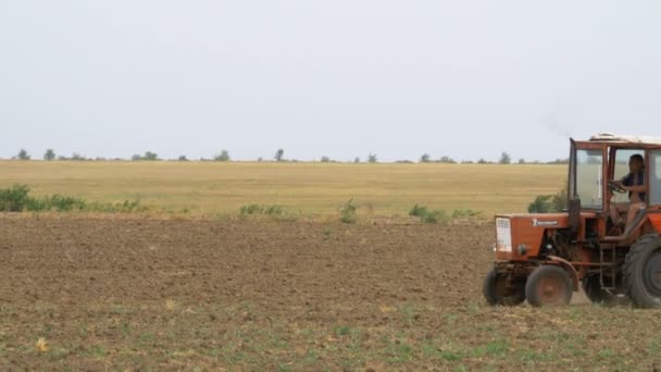 Gammal traktor plowing fält — Stockvideo