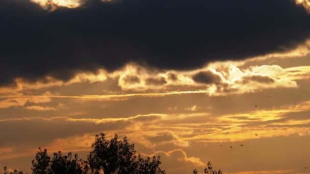 Stora röda solen vid solnedgången sitter och gömmer sig bakom molnen flyter i himlen — Stockvideo