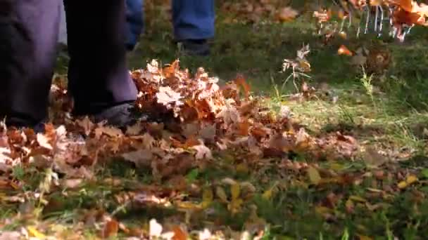 労働者を収集熊手を使用して秋の公園で黄色の枯れ葉 — ストック動画
