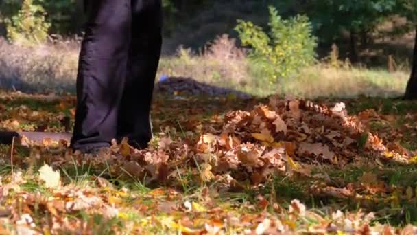 Arbeiter sammelt mit Harke gelbes Laub im Herbstpark ein — Stockvideo