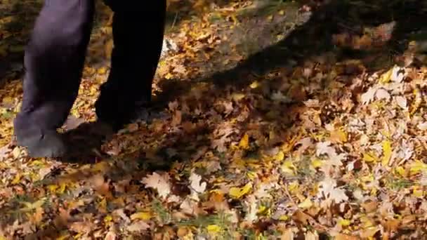 Un travailleur ramasse des feuilles jaunes tombées au parc d'automne à l'aide d'un râteau — Video