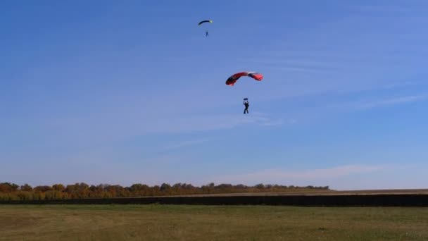 Paracaidista volando con un paracaídas y aterrizó en el suelo — Vídeos de Stock