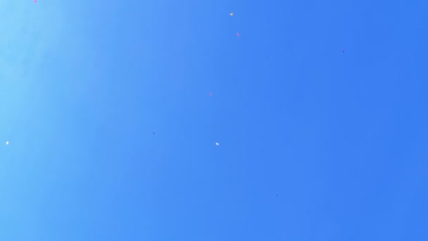 Banyak skydivers terbang tinggi di langit biru — Stok Video