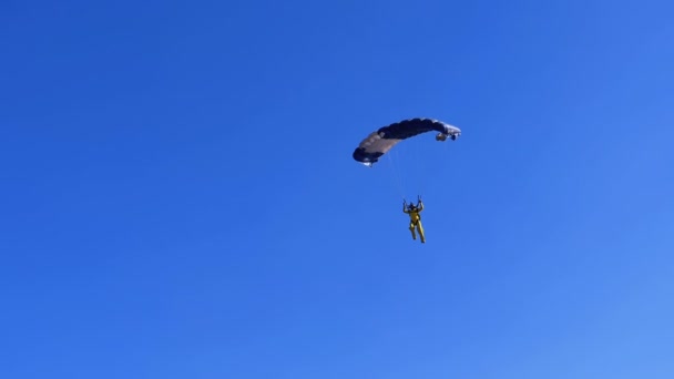 Parachutiste volant avec un parachute et atterrissant au sol. Mouvement lent — Video
