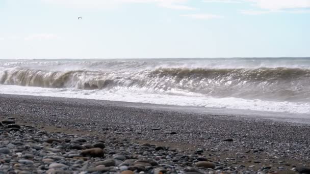 Bouře na moři. Jsou obrovské vlny Crashing a stříkací na pláži. Zpomalený pohyb — Stock video